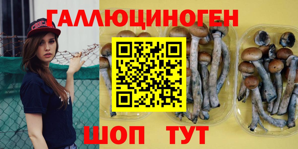 Псилоцибиновые грибы мицелий  Псилоцибиновые грибы ЛСД  Вход с VPN  Сальск 