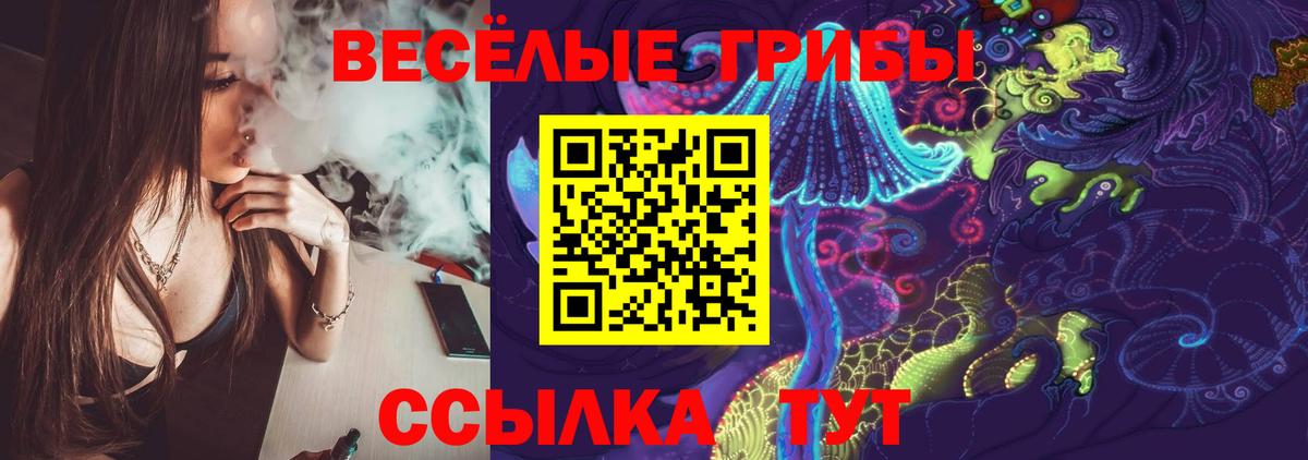 Псилоцибиновые грибы Psilocybine cubensis Сальск