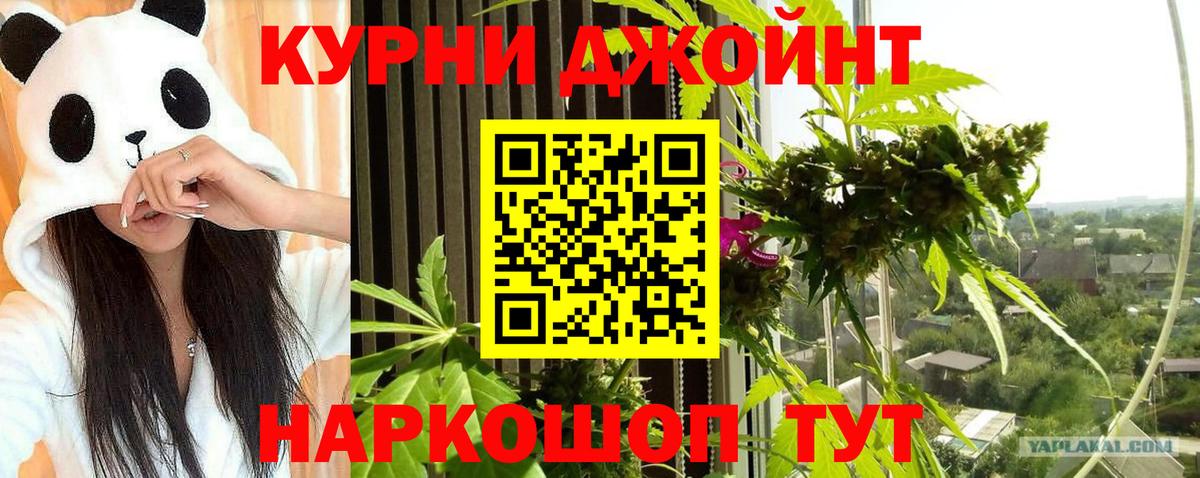Сальск  Канабис индика  Вход с VPN  Канабис AK-47  Конопля планчик 